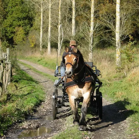 At The Calm Way In The Center Dom wakacyjny Houffalize