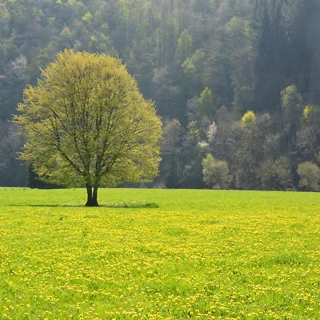 Σπίτι διακοπών At The Calm Way In The Center